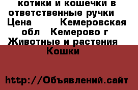 котики и кошечки в ответственные ручки! › Цена ­ 10 - Кемеровская обл., Кемерово г. Животные и растения » Кошки   